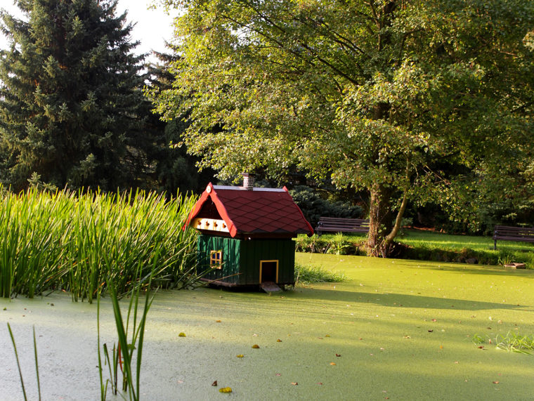 Dorfteich in Schönau