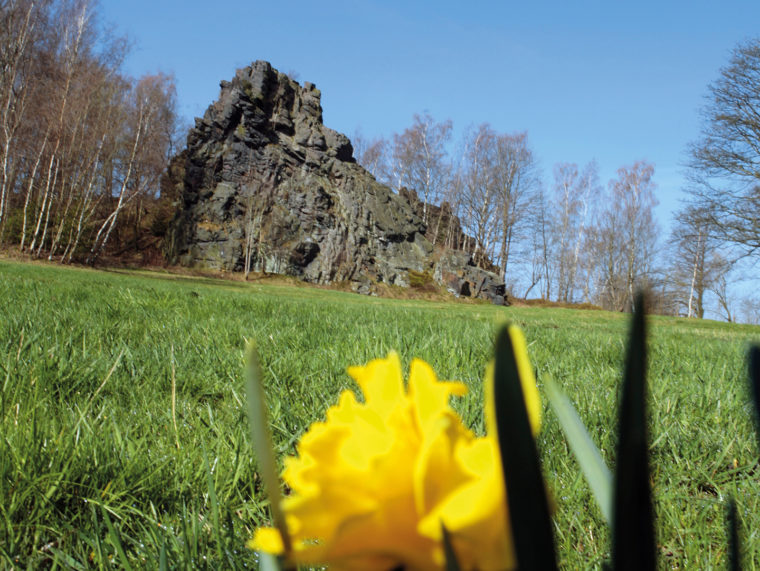 Lochstein Falkenstein im Frühling