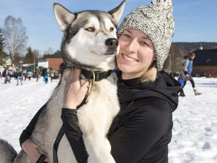 Schlittenhunderennen Hammerbrücke 2019